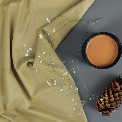 Noorani Ankara - Camel